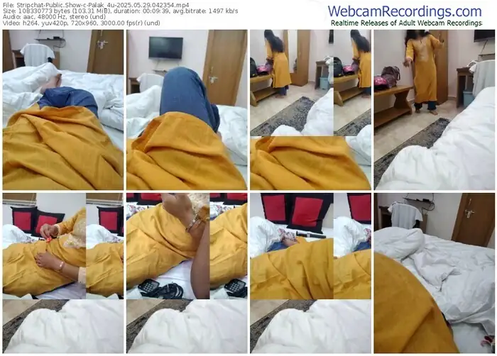 stripchat-palak_4u-05-29-2025-04-23-54