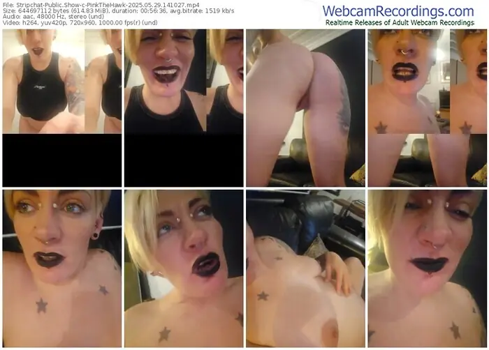 stripchat-pinkthehawk-05-29-2025-14-10-27