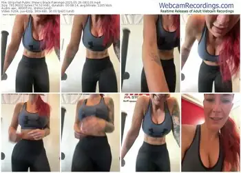 stripchat-black-flamingo-05-29-2025-08-31-03