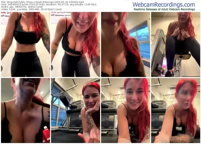 stripchat-black-flamingo-05-29-2025-19-39-03