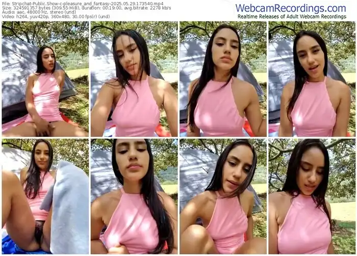 stripchat-pleasure_and_fantasy-05-29-2025-17-35-40