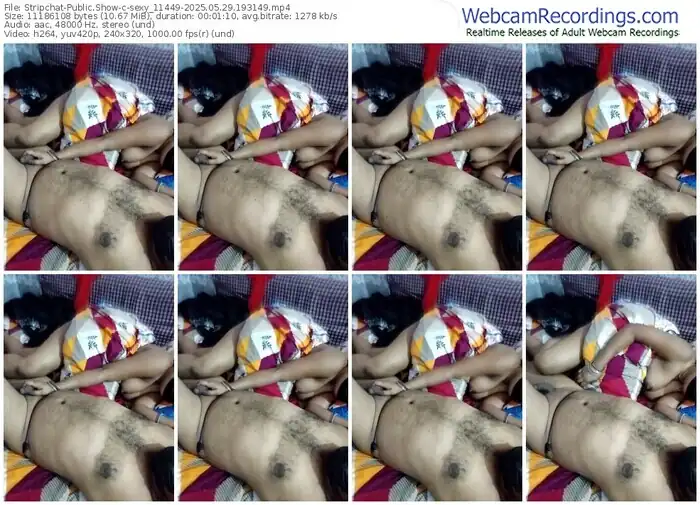 stripchat-sexy_11449-05-29-2025-19-31-49