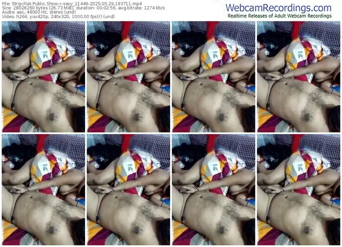stripchat-sexy_11449-05-29-2025-19-37-11