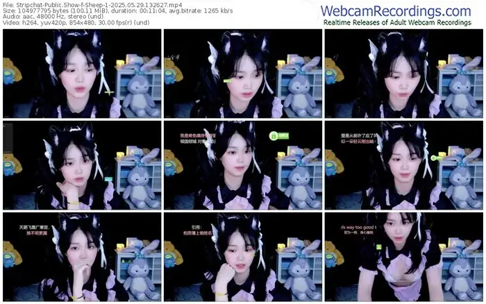 stripchat-sheep-1-05-29-2025-13-26-27