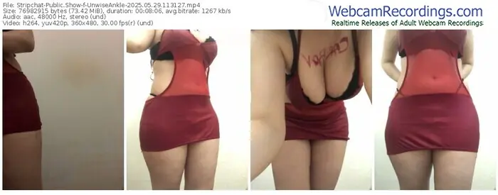 stripchat-unwiseankle-05-29-2025-11-31-27