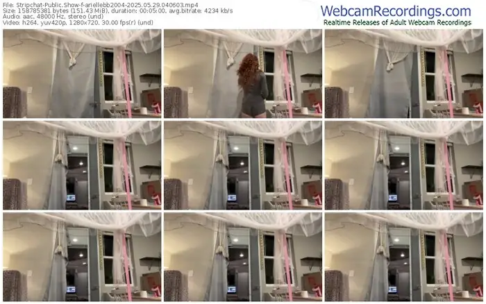 stripchat-ariellebb2004-05-29-2025-04-06-03