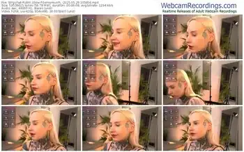 stripchat-bennymurrh_-05-29-2025-10-58-56