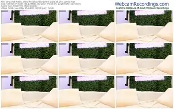 stripchat-realhotfallingdevil-05-29-2025-11-09-02