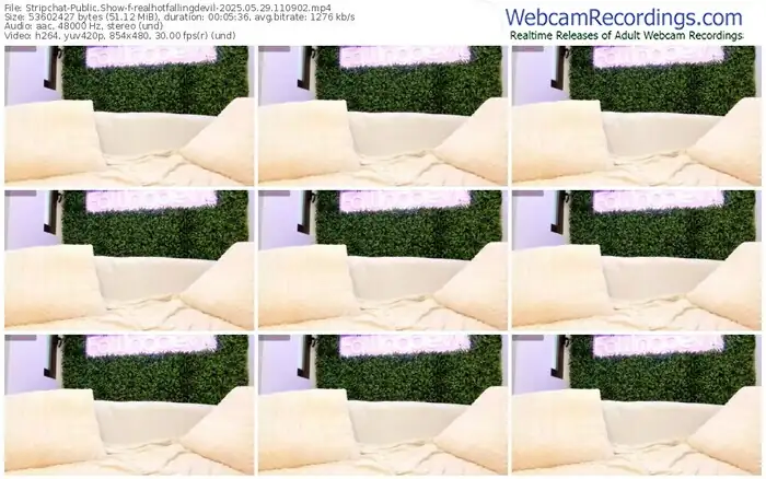stripchat-realhotfallingdevil-05-29-2025-11-09-02
