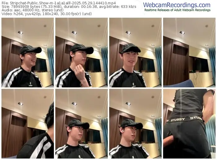 stripchat-1a1a1alll-05-29-2025-14-44-10