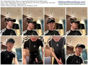 stripchat-1a1a1alll-05-29-2025-14-46-42