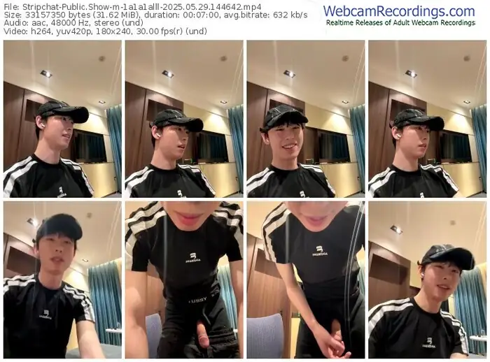 stripchat-1a1a1alll-05-29-2025-14-46-42