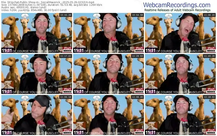 stripchat-_socialmaverick_-05-29-2025-02-32-16