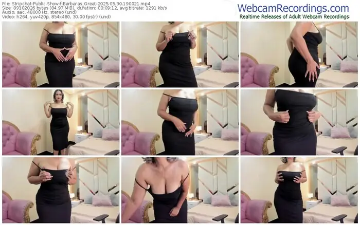 stripchat-barbaras_great-05-30-2025-19-00-21