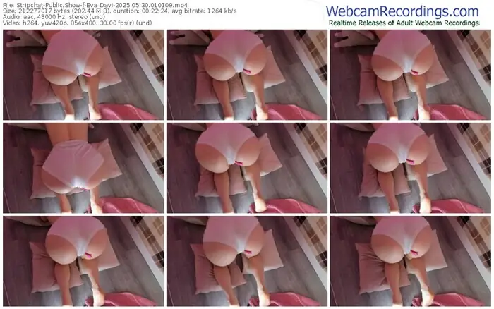 stripchat-eva_davi-05-30-2025-01-01-09