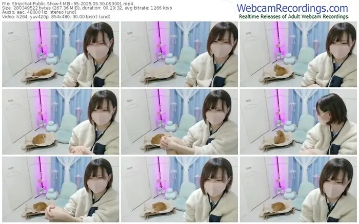 stripchat-mei--55-05-30-2025-09-30-01