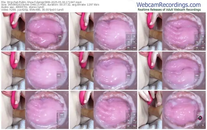 stripchat-danigirl866-05-30-2025-17-16-47