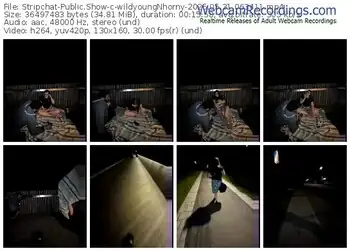 stripchat-wildyoungnhorny-05-31-2025-06-34-11