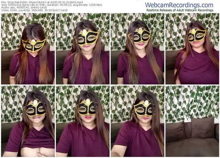 stripchat-bold-cat-05-31-2025-01-09-02