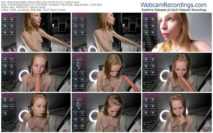 stripchat-elis_fox-05-31-2025-15-18-10