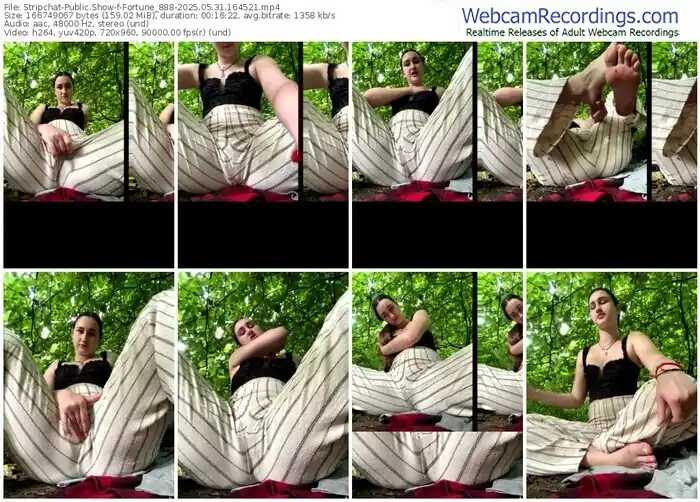 stripchat-fortune_888-05-31-2025-16-45-21