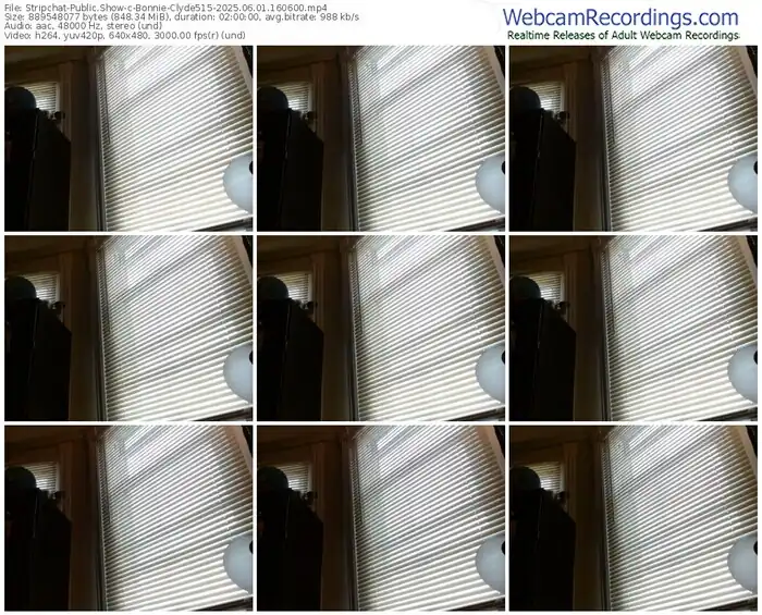 stripchat-bonnie-clyde515-06-01-2025-16-06-00
