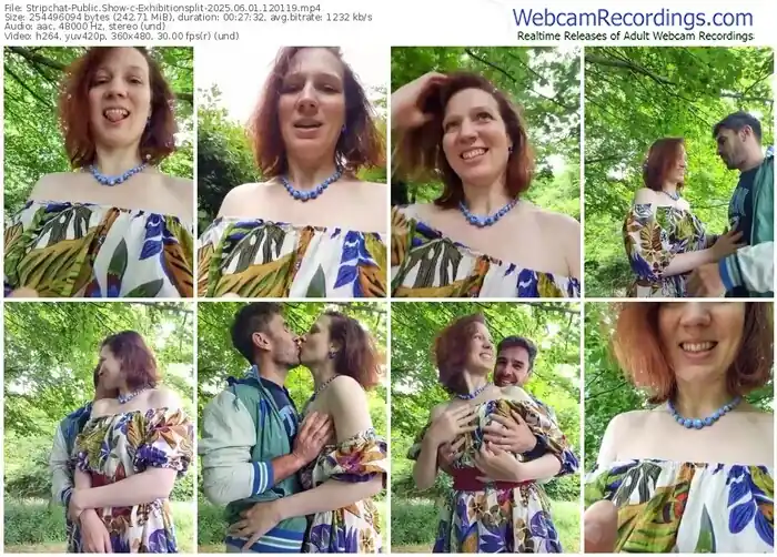 stripchat-exhibitionsplit-06-01-2025-12-01-19