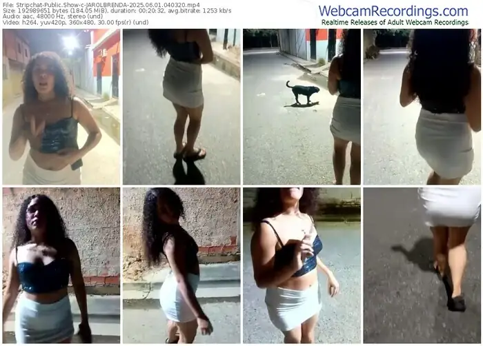 stripchat-jarolbrenda-06-01-2025-04-03-20