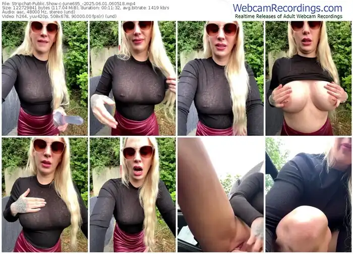 stripchat-june695_-06-01-2025-06-05-18