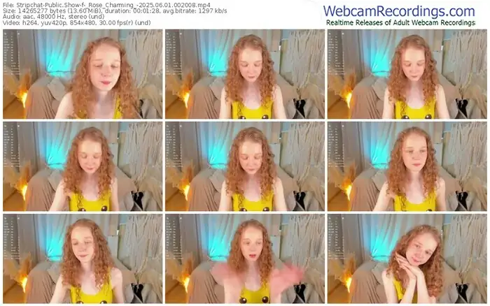 stripchat-_rose_charming_-06-01-2025-00-20-08