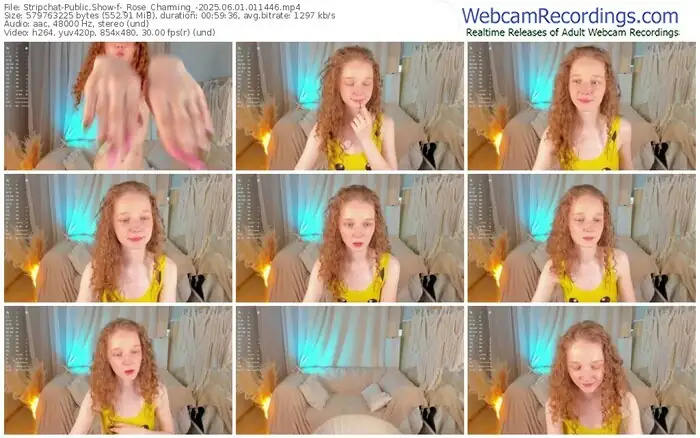 stripchat-_rose_charming_-06-01-2025-01-14-46