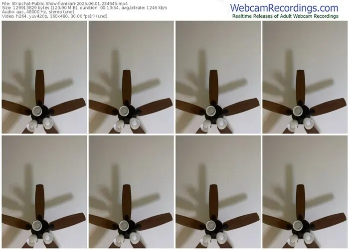 stripchat-anikari-06-01-2025-23-46-45
