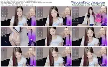 stripchat-cookie-77-06-01-2025-21-31-46