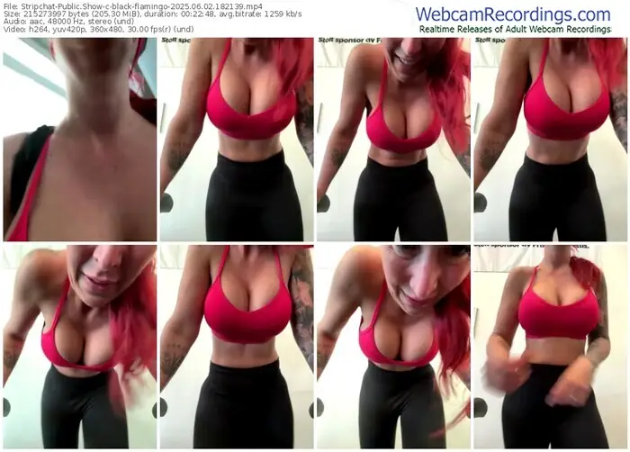 stripchat-black-flamingo-06-02-2025-18-21-39