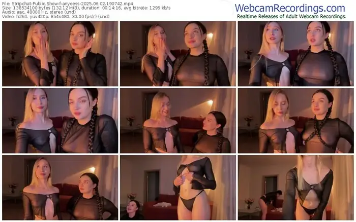 stripchat-anyeess-06-02-2025-19-07-42