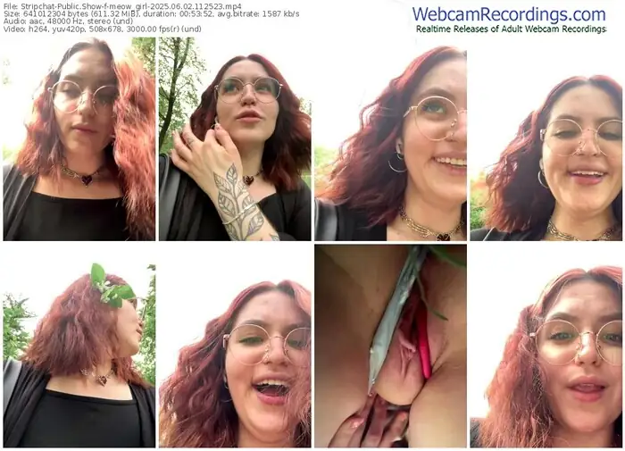 stripchat-meow_girl-06-02-2025-11-25-23