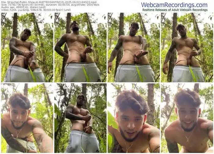 stripchat-matteosantino21-06-02-2025-18-43-22