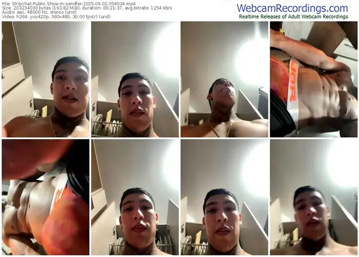 stripchat-sendfer-06-02-2025-05-40-34