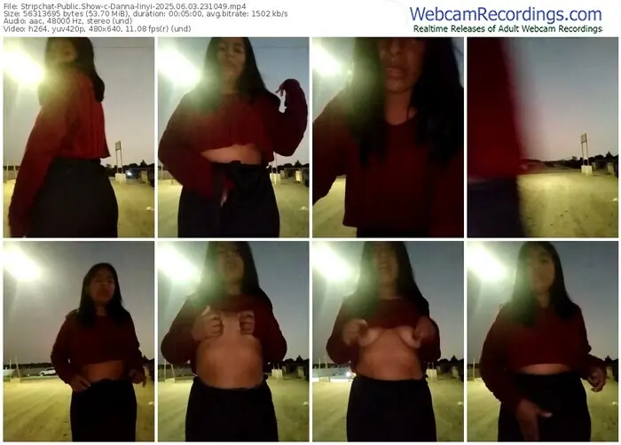 stripchat-danna-linyi-06-03-2025-23-10-49