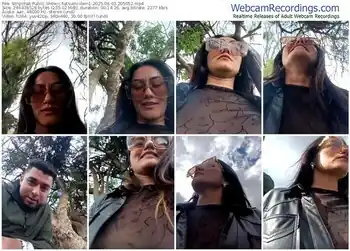 stripchat-tatsumi-ilein1-06-03-2025-20-50-52