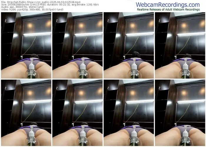 stripchat-zizi_public-06-03-2025-02-25-38