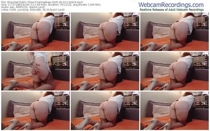 stripchat-karinaroge-06-03-2025-12-43-24