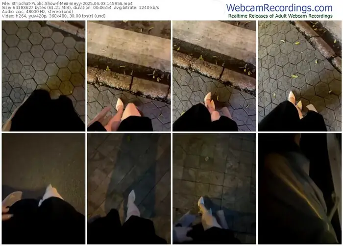 stripchat-meii-meyy-06-03-2025-14-59-56