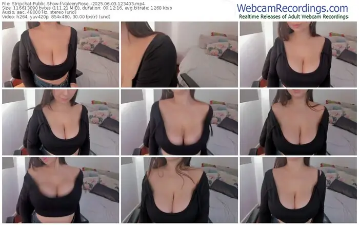 stripchat-valeeryrose_-06-03-2025-12-34-03