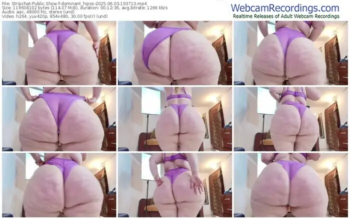 stripchat-dominant_hipss-06-03-2025-19-37-13