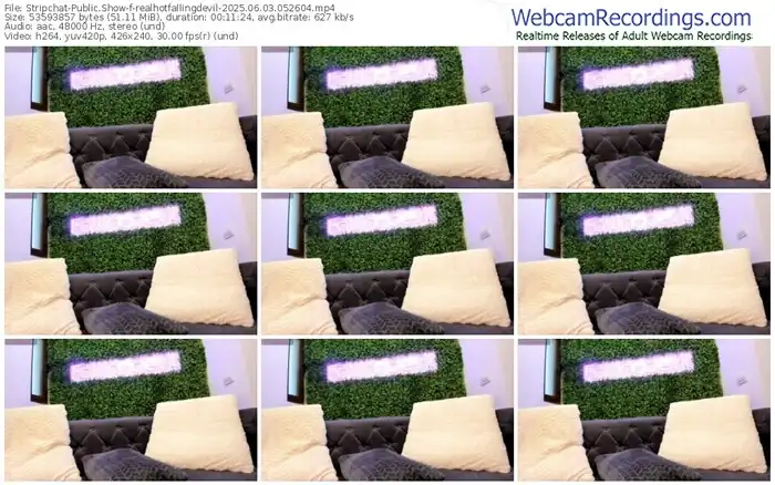 stripchat-realhotfallingdevil-06-03-2025-05-26-04