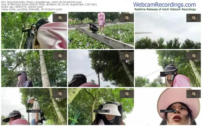 stripchat-angelwings_-06-04-2025-04-19-42