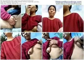 stripchat-danna-linyi-06-04-2025-15-46-43