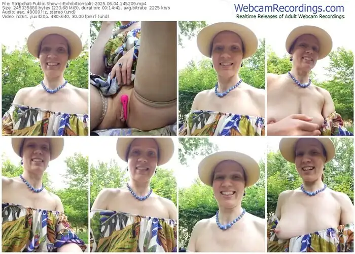 stripchat-exhibitionsplit-06-04-2025-14-52-09