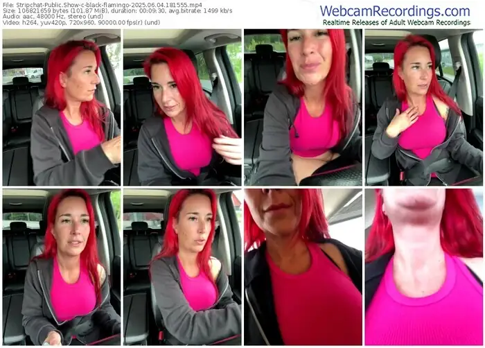 stripchat-black-flamingo-06-04-2025-18-15-55